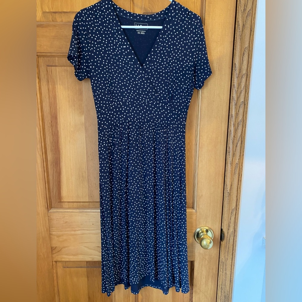 Llbean Navy Polka Dot Dress
